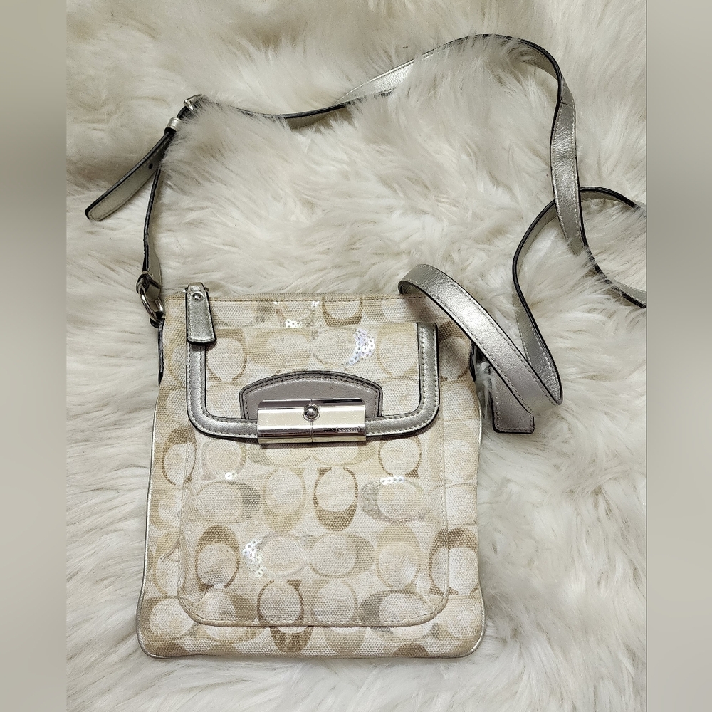 Elegant Silver and Cream Women's Bag